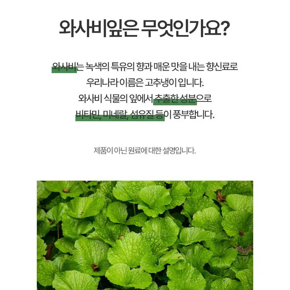 1+1 와사비잎추출물 와사비추출물 프리미엄 정