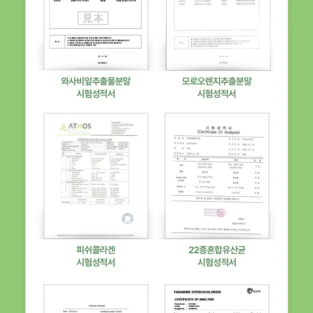 1+1 와사비잎추출물 와사비추출물 프리미엄 정