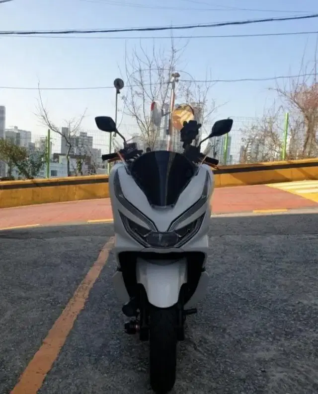 pcx150 더뉴 중고 모델 19년형 팝니다