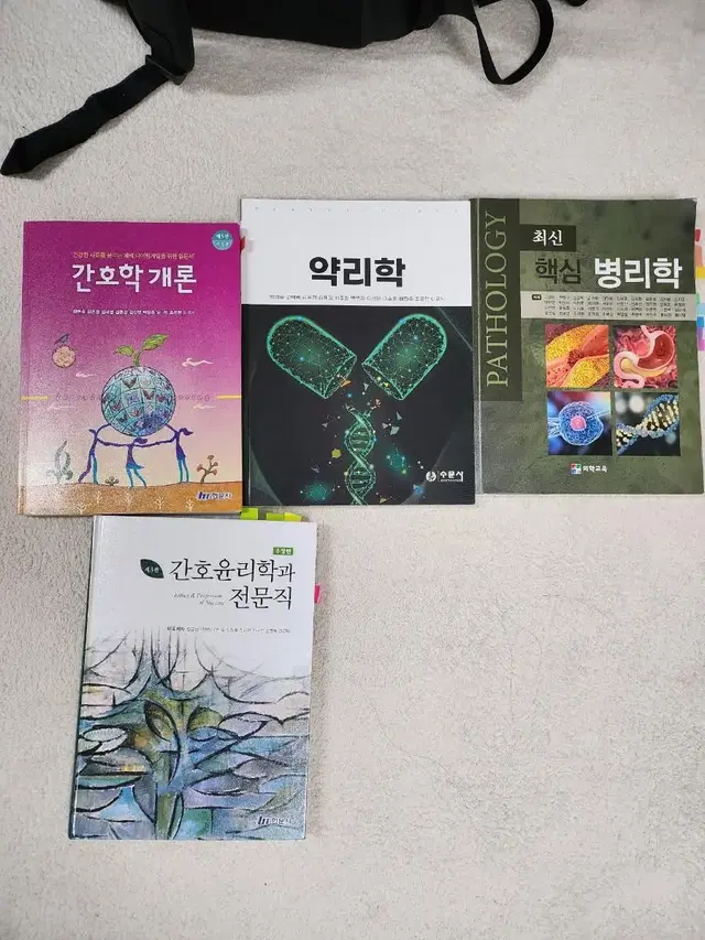 간호학개론, 약리학, 병리학, 간호윤리