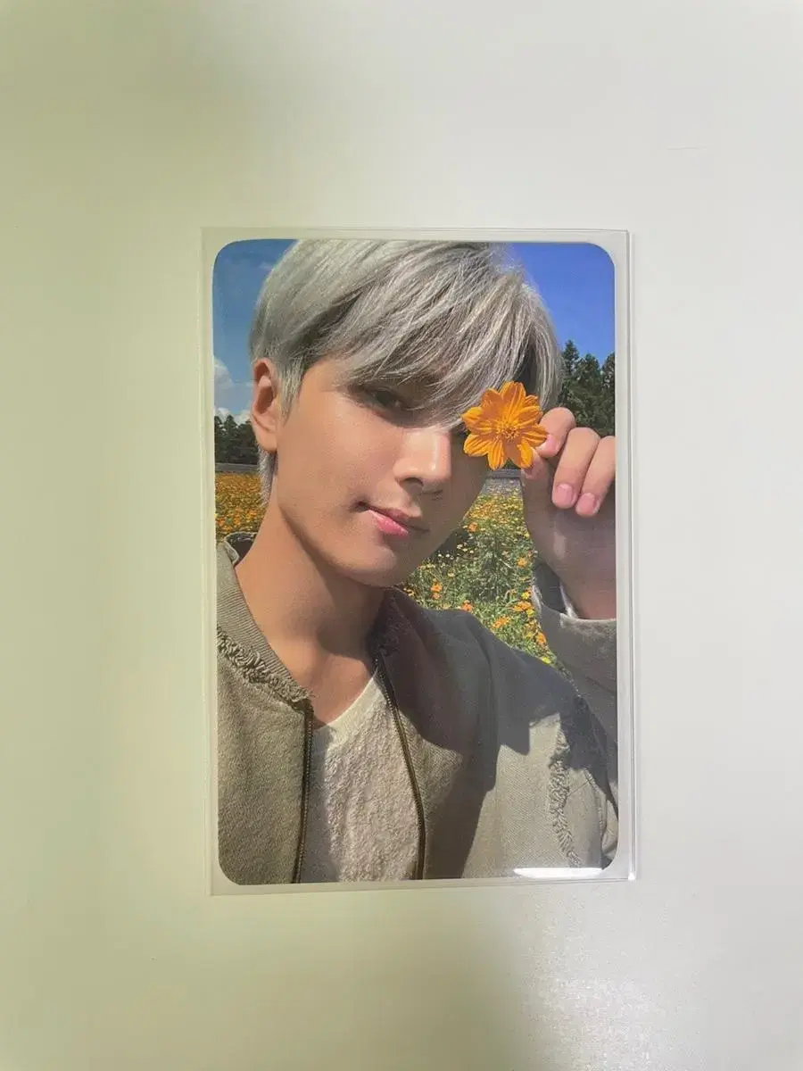 Enhypen jay EnConnect Photocard