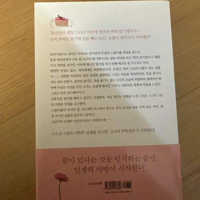 스물아홉 생일,1년 후 죽기로 결심하다