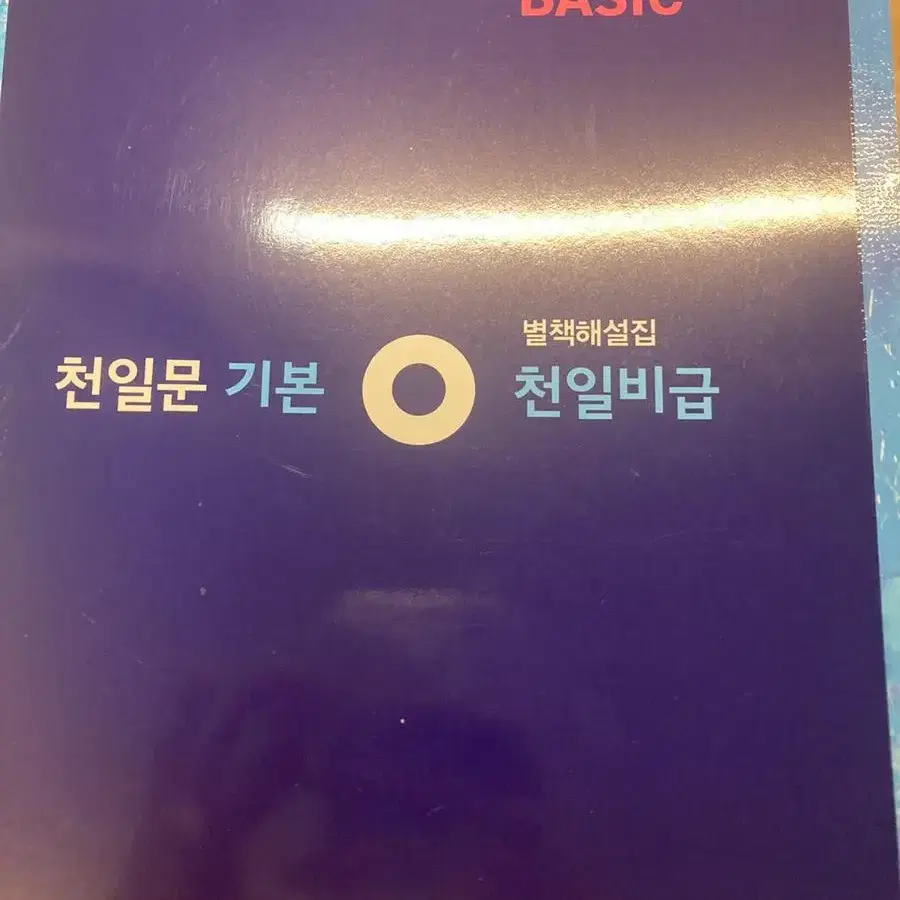 천일문 기본 베이직