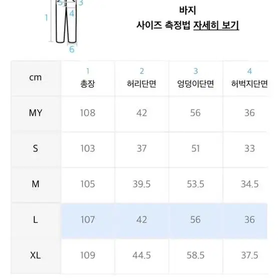 비전스트릿웨어 vsw 카펜터 팬츠 블랙 L