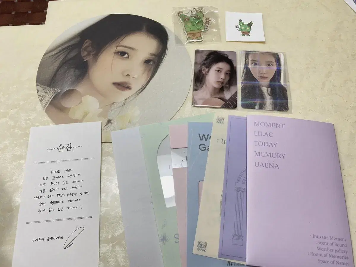 IU Exhibition Instant Entry pre-order benefit + succulent2 keyring bulk WTS