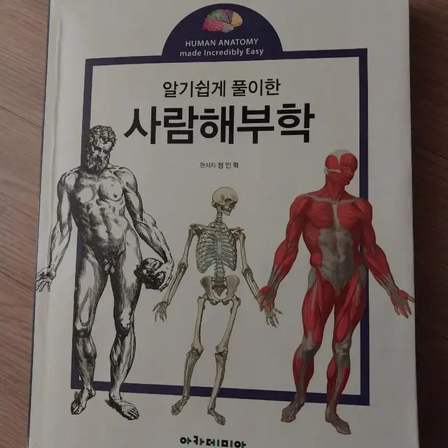 사람해부학