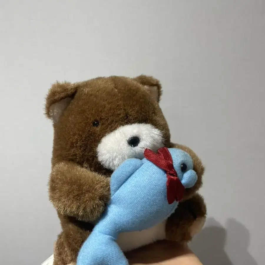 어뮤즈 곰돌이 인형