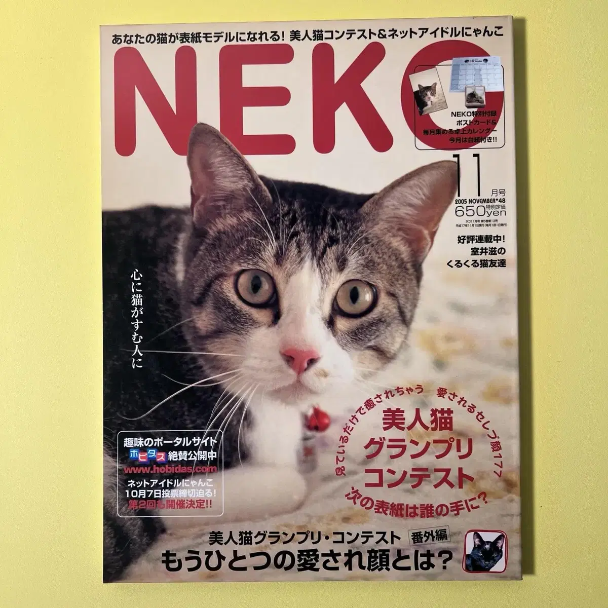 고양이잡지 네코 NEKO 2005-11 vol48 일본