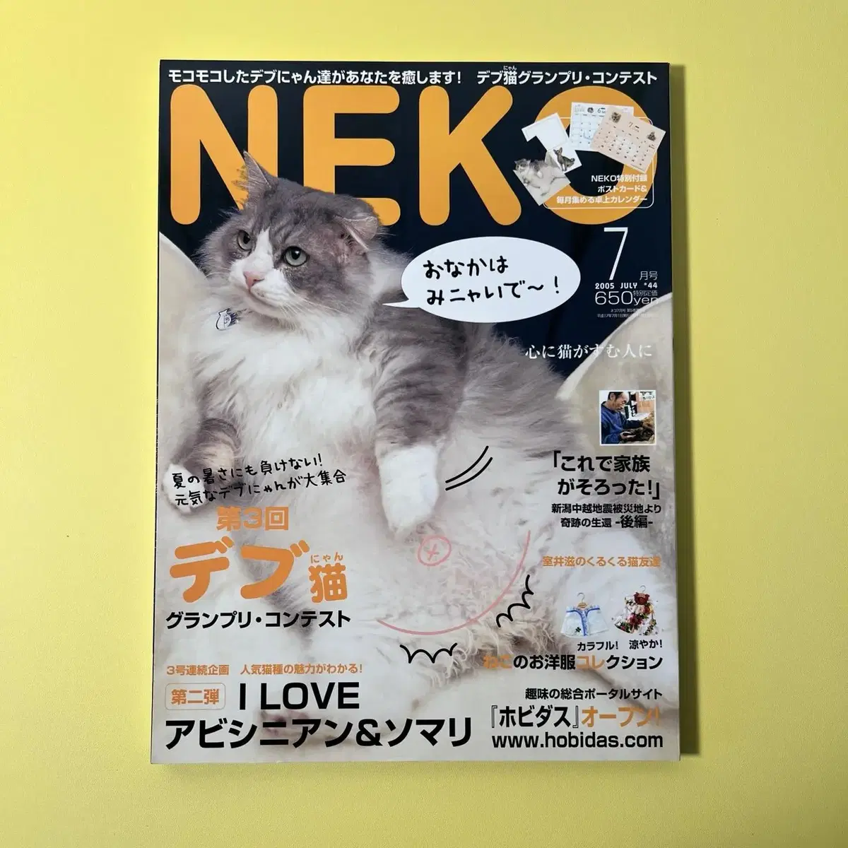 고양이잡지 네코 NEKO 2005-07 vol44 일본 빈티지잡지 고양이