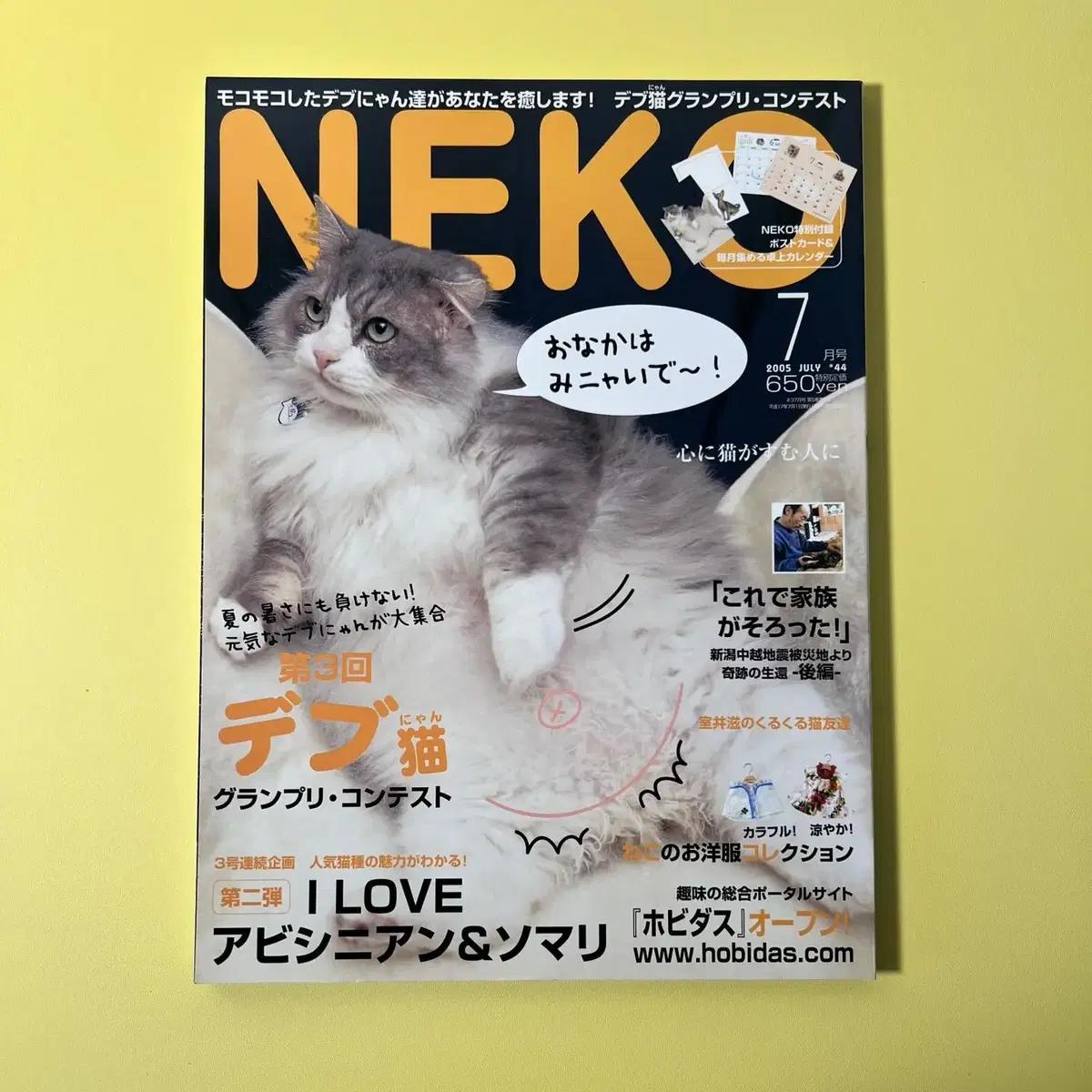 고양이잡지 네코 NEKO 2005-07 vol44 일본 빈티지잡지 고양이