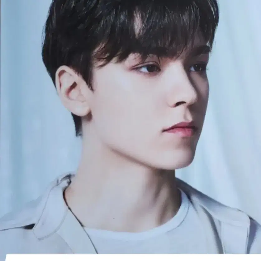 세븐틴 버논 양도