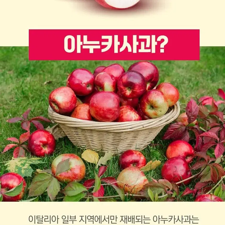 아누카사과 맥주효모 비오틴 60정 1통 2개월분