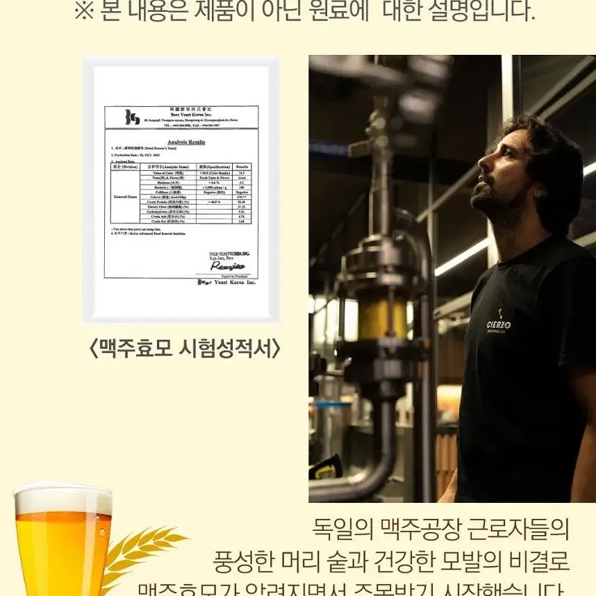 아누카사과 맥주효모 비오틴 60정 1통 2개월분