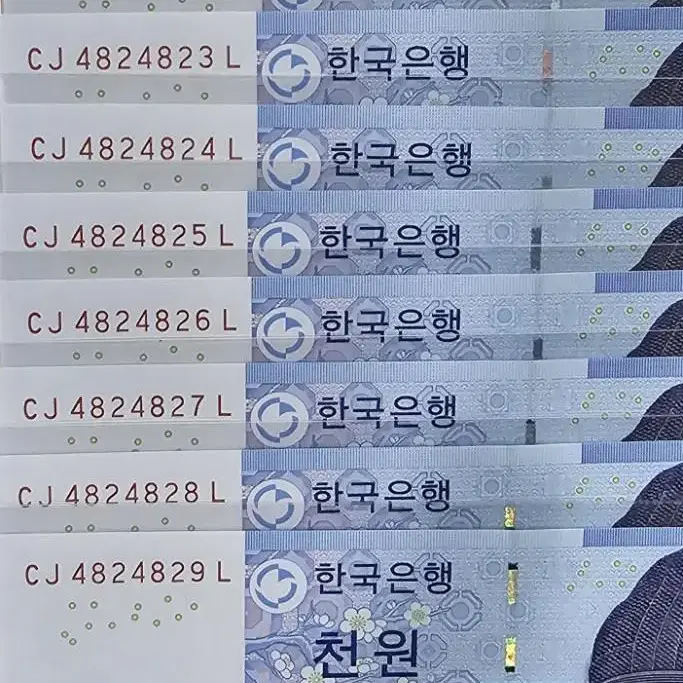 한국은행 처원(리피터)지폐 10연번