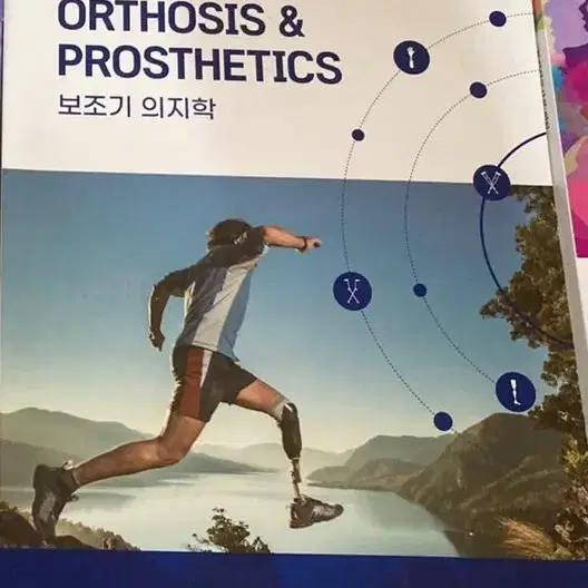 보조기 의지학