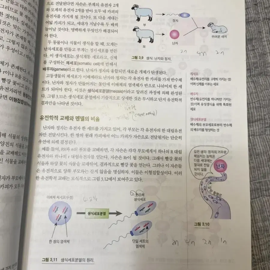 면역학 분자생물학 진화학 생화학 식물학 통계학의 기초와 학문 등 대학교재