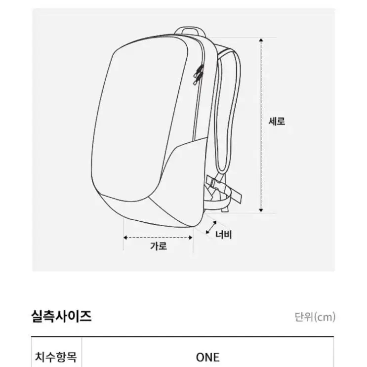 노스페이스 빅샷