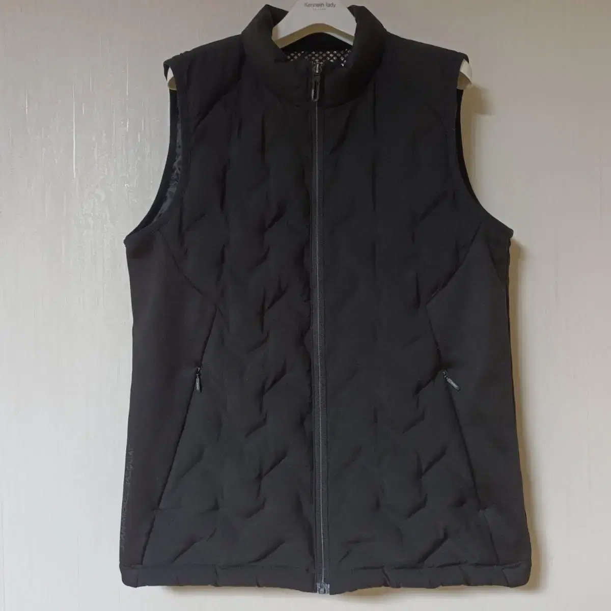 Men's Goose Vest by RoseChelbaschiaConditionsFine 100