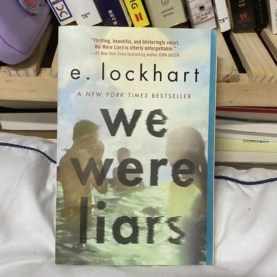 we were liars 소설