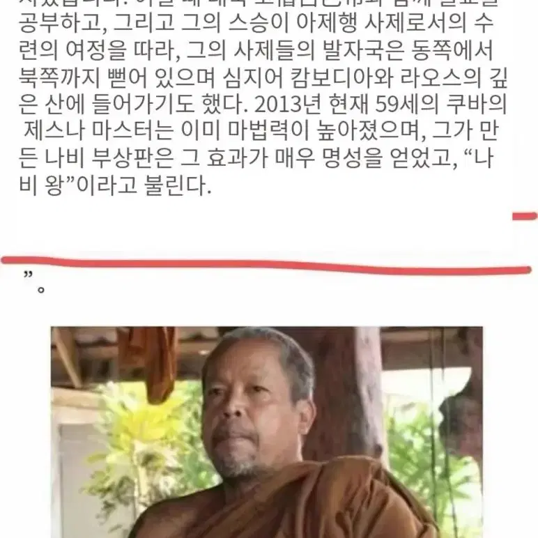 태국유명 주지스님 나비의왕 행운팔찌