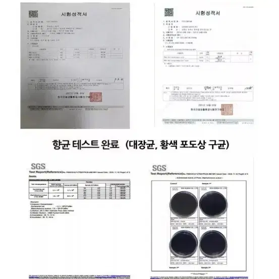 정품 새상품 알프레미오 아보카도 ih 후라이팬 3종세트