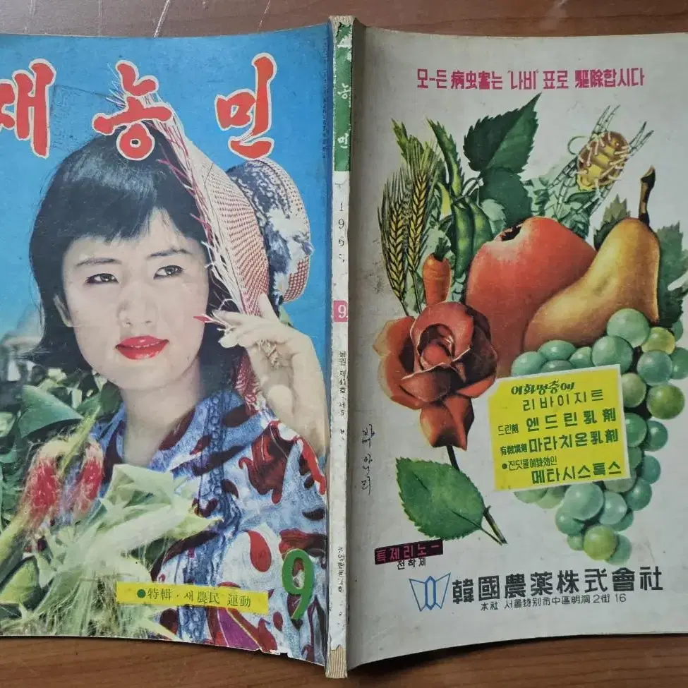 1965년 9월호 새농민 잡지 - 표지모델 영화배우 고은아 -