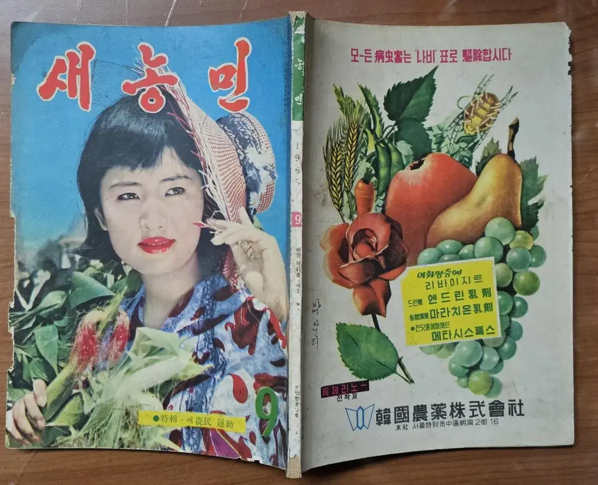 1965년 9월호 새농민 잡지 - 표지모델 영화배우 고은아 -