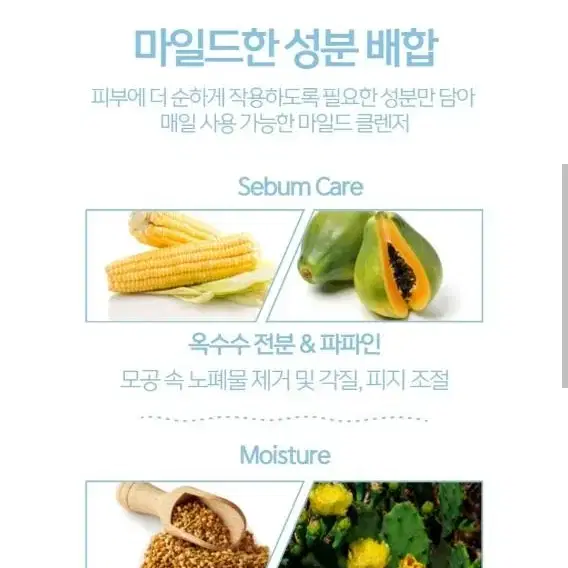 엘에이엔자임파우더 (효소세안제)