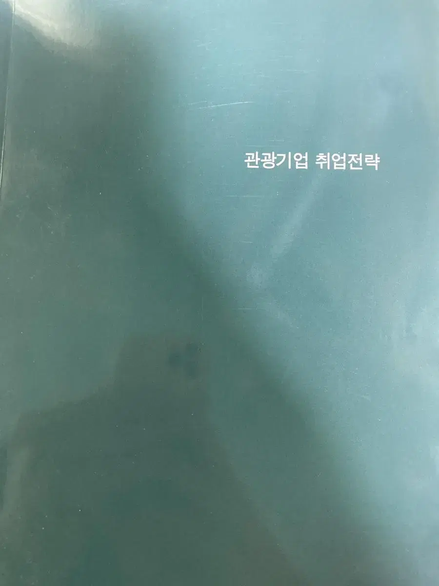 관광기업 취업전략 조인환