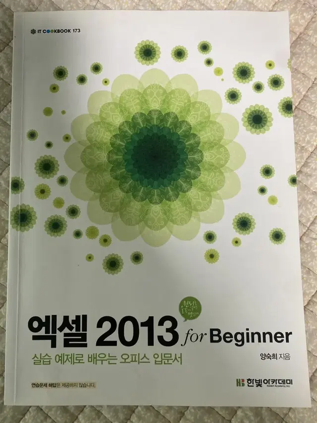 엑셀 2013 for beginner 양숙희 한빛아카데미