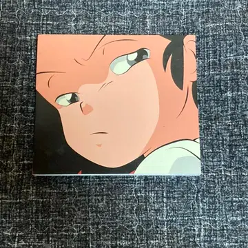 ADOY 아도이 CATNIP CD | 브랜드 중고거래 플랫폼, 번개장터