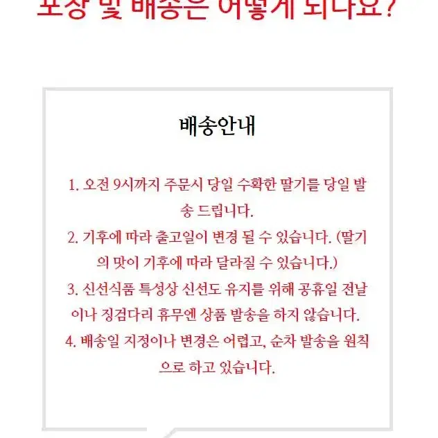 밀양 산타딸기 죽향 생딸기 산지직송