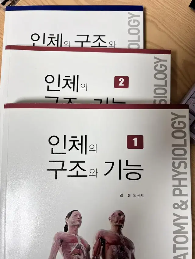 인체구조와 기능 세트