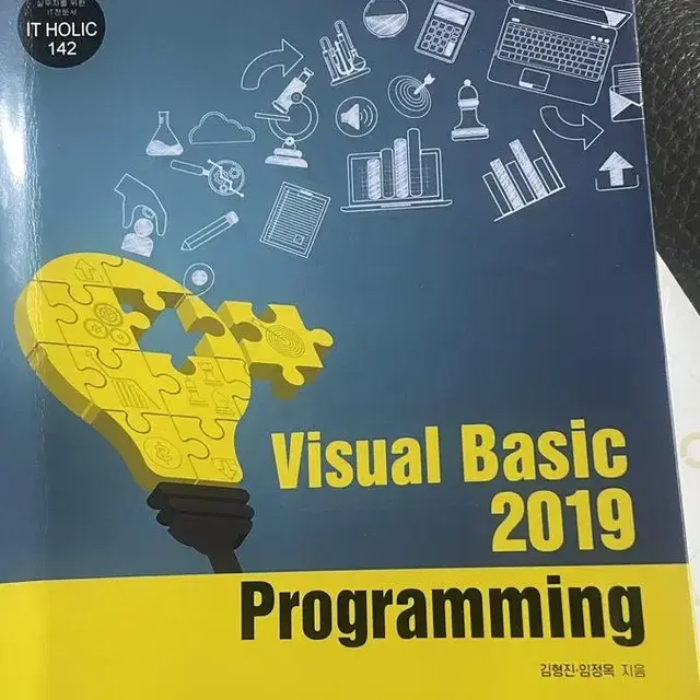 visual basic 2019 programing (북스홀릭)