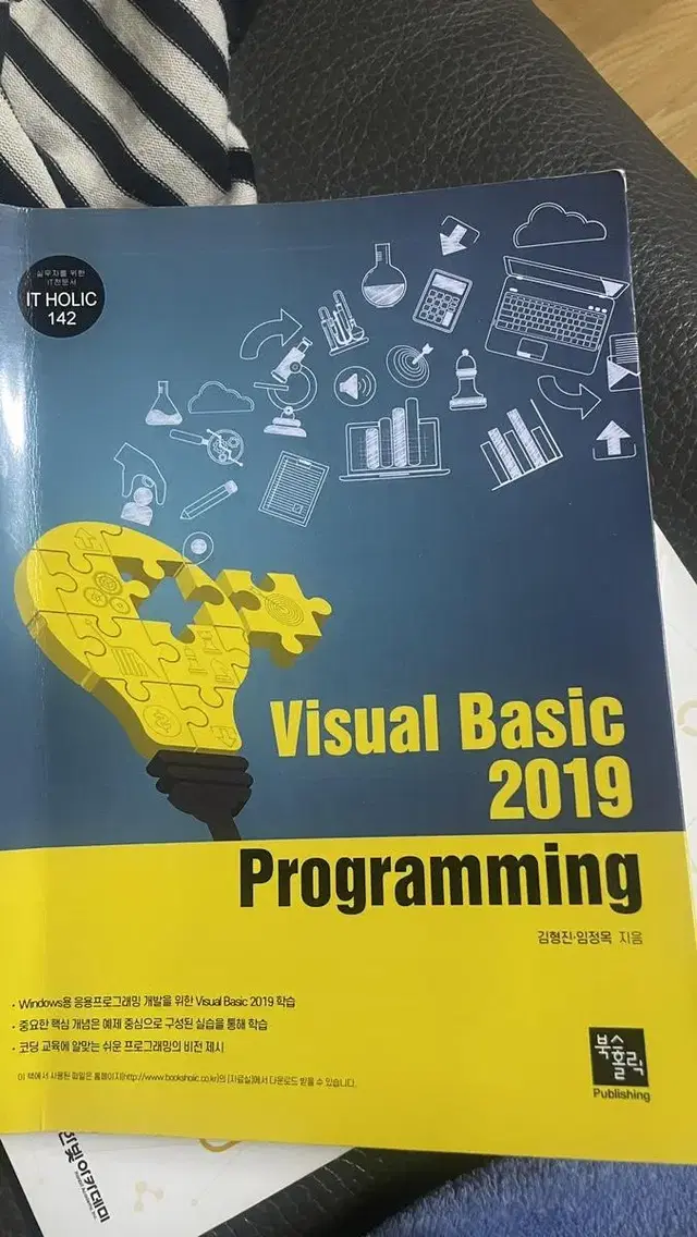 visual basic 2019 programing (북스홀릭)