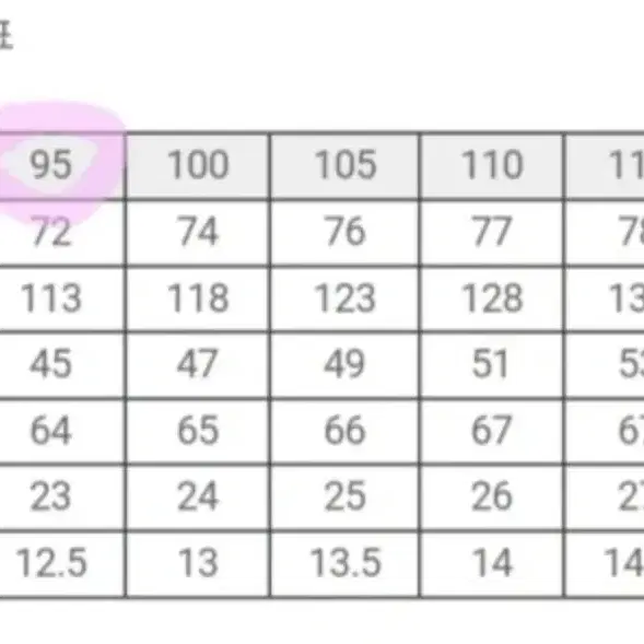 코오롱 남성 구스다운 패딩