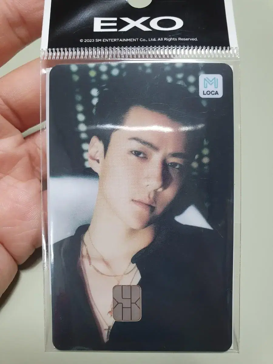 Exo sehun Transportation Card Locamobility