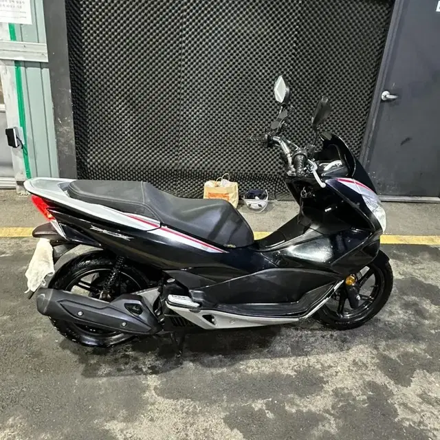 pxc 125 스페셜 컬러