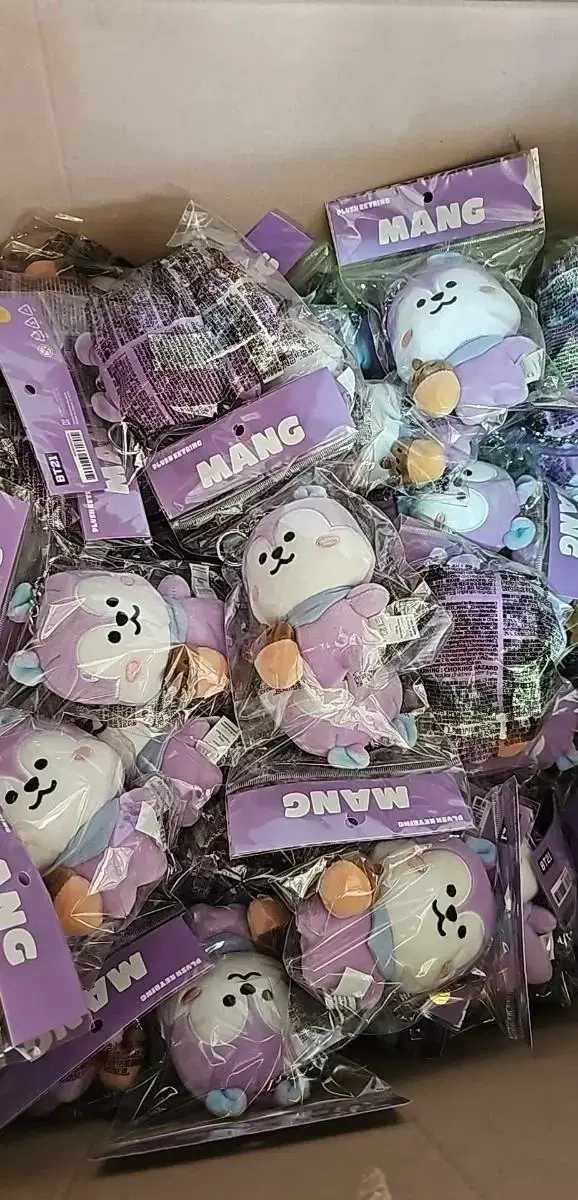 BT21 Inside Mang keyring INSIDE MANG