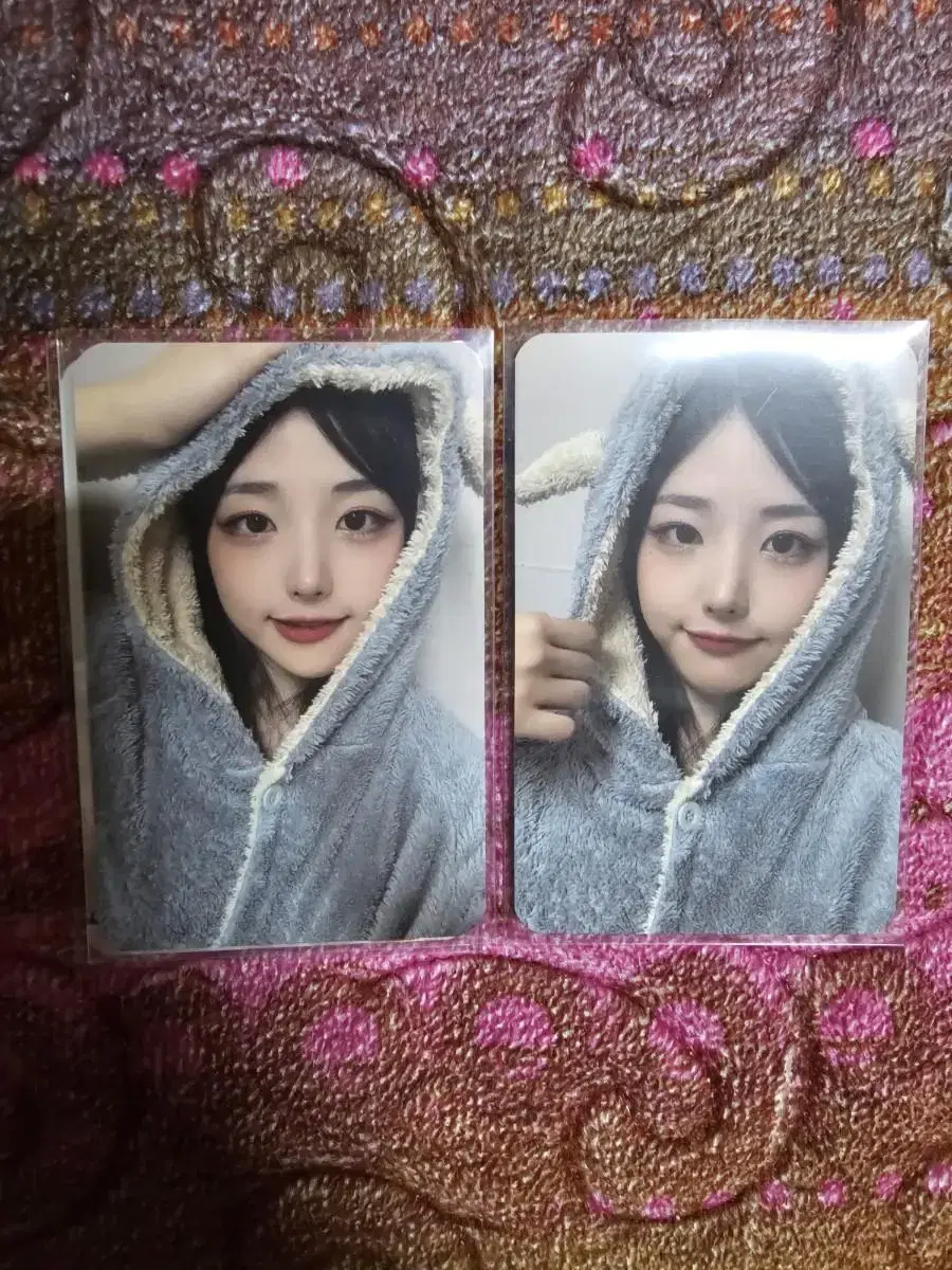 QWER hina photocard