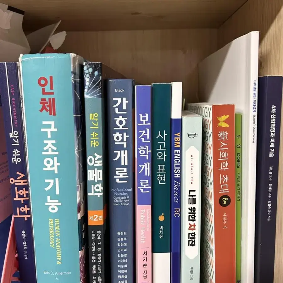 인체구조와 기능