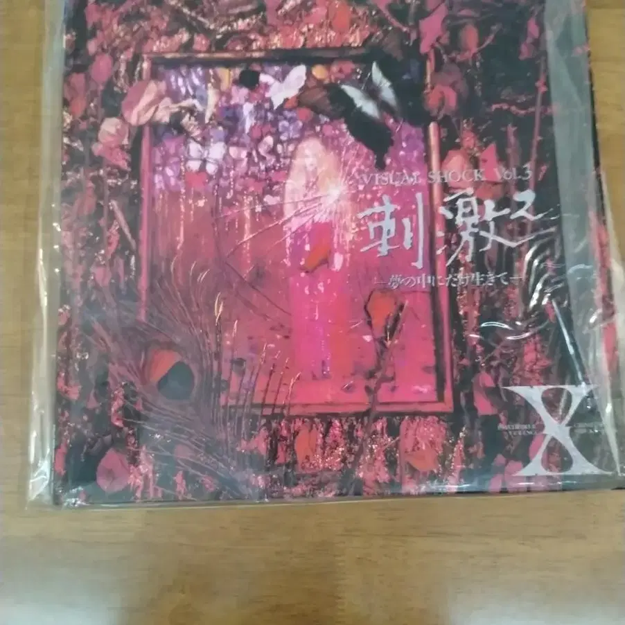 x japan 자극2