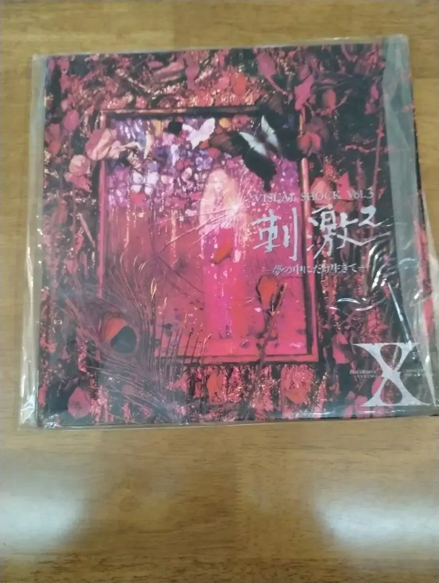 x japan 자극2