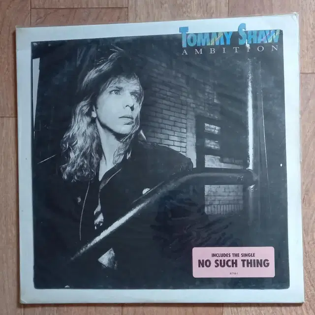 Tommy shaw lp 미개봉 엘피