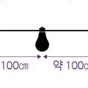 외부용 파티라이트 11m 10구 반값판매 새제품