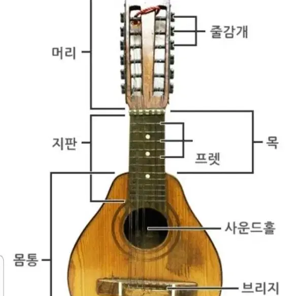 14현 Bandurria반두리아Mandurria만두리라