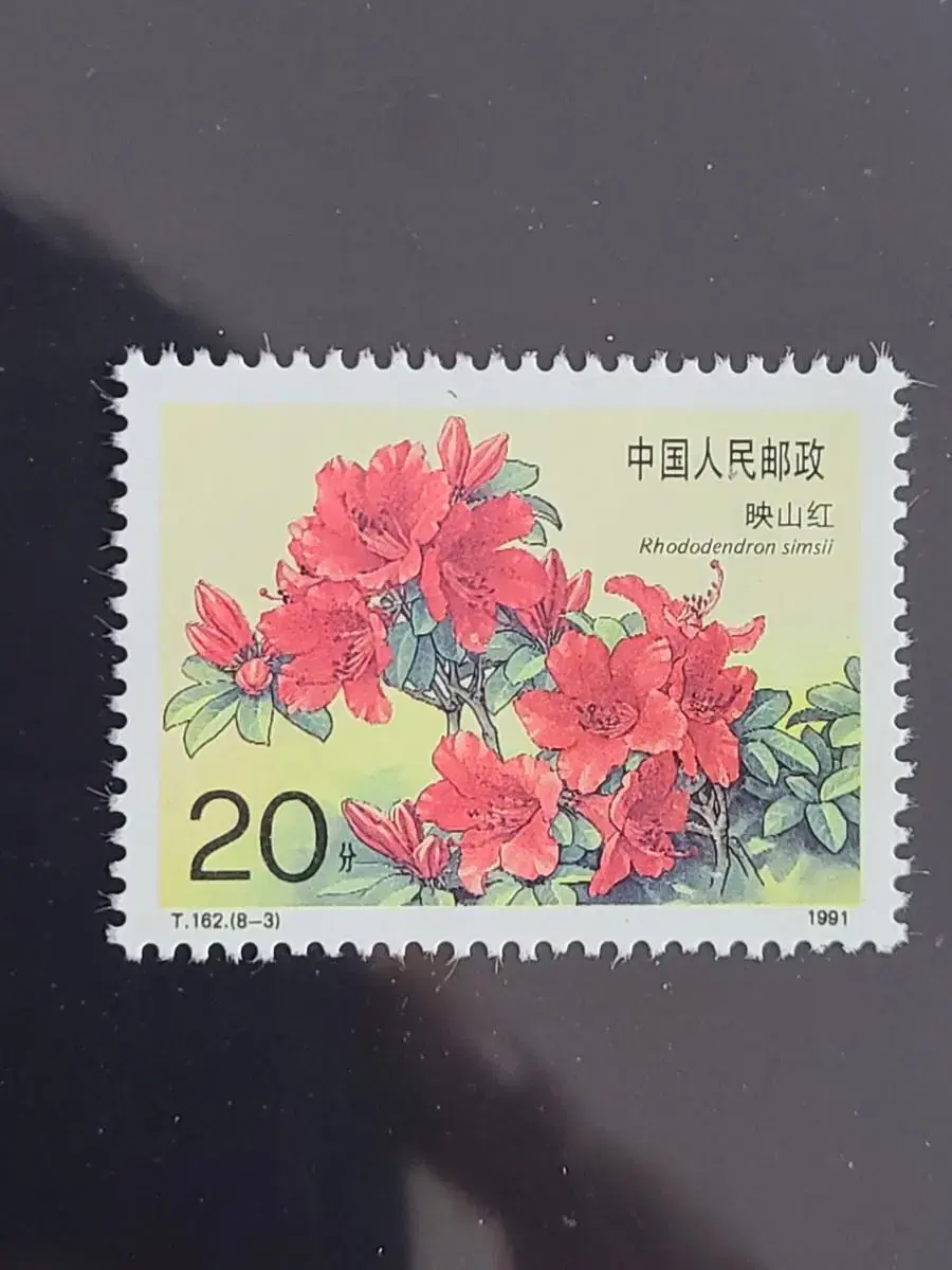 Bundled shipping (application: B077) 1991 China Zhonghua Renmin Baile Hong (C2) Cheap