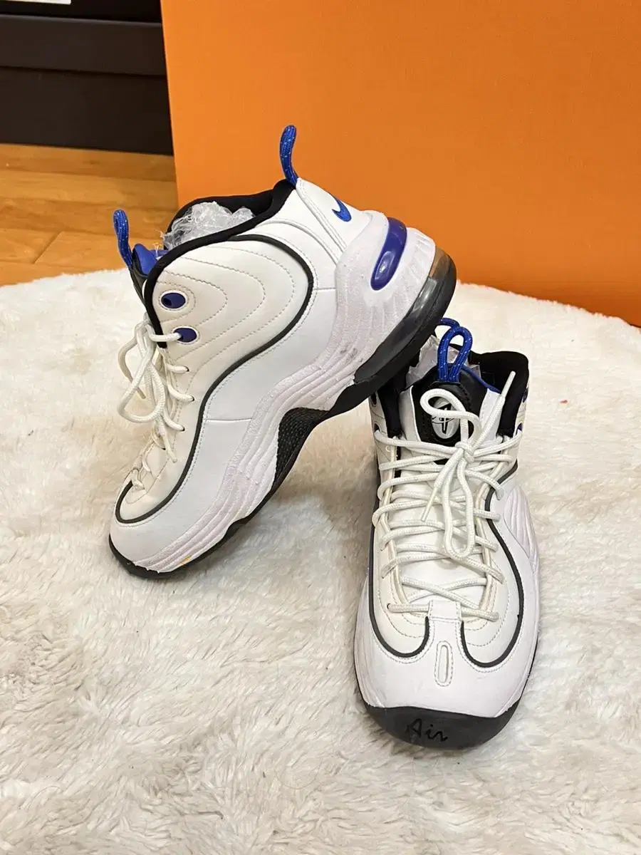 Nike Air Penny 2 245