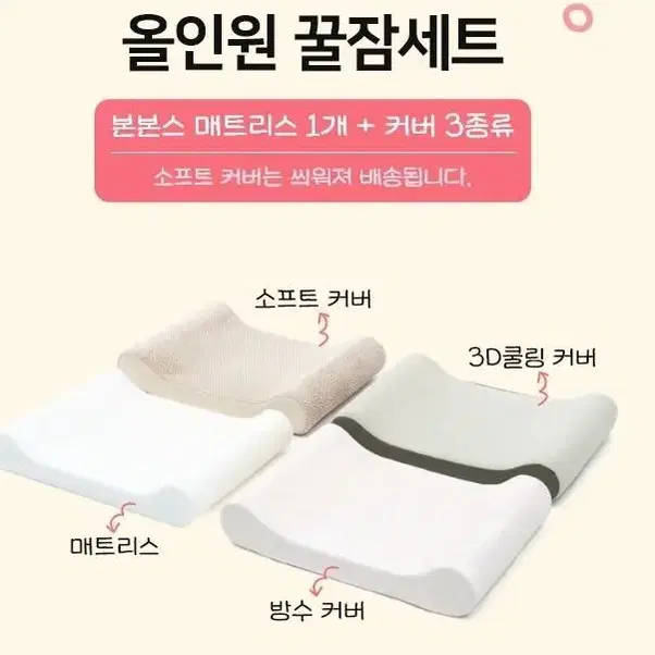 강아지 방석 강아지침대 헨로포우 본본스 침대(나혼자산다 키 강아지 사용)