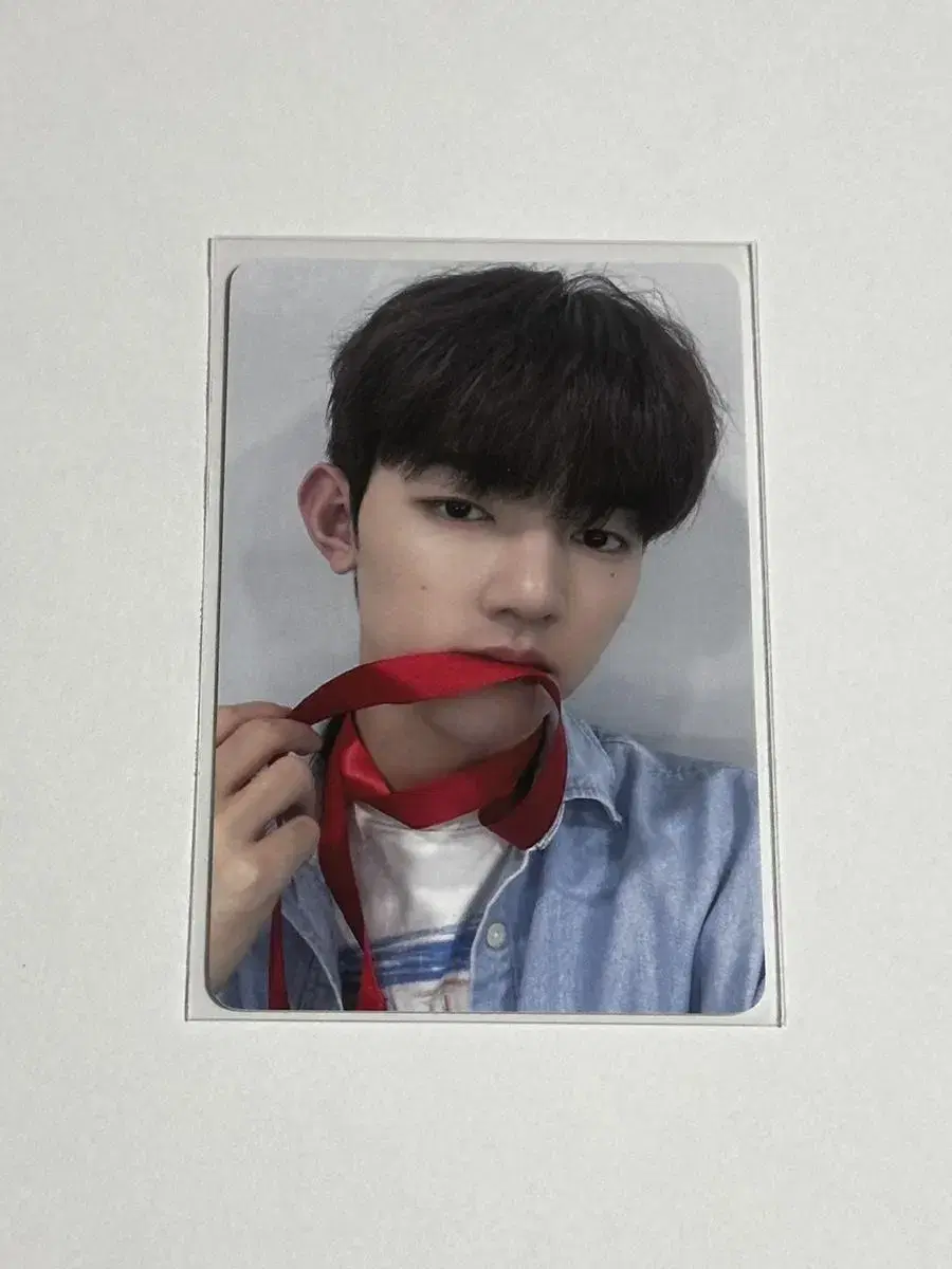 zerobaseone zhang hao with muu ribbon ld unreleased photocard